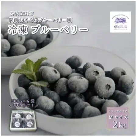 冷凍ブルーベリー ちょっと小さめ Mサイズ 2kg (500g×4個) 門前おくでらブルーベリー園【配送不可地域：離島】【1738477】