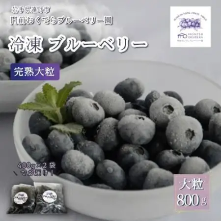 冷凍ブルーベリー 大粒 合計800g(400gパック2個入り) 門前おくでらブルーベリー園【配送不可地域：離島】【1738484】