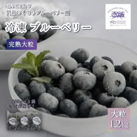 冷凍ブルーベリー 大粒 1.2kg (400gパック3個入り) 門前おくでらブルーベリー園【配送不可地域：離島】【1738487】