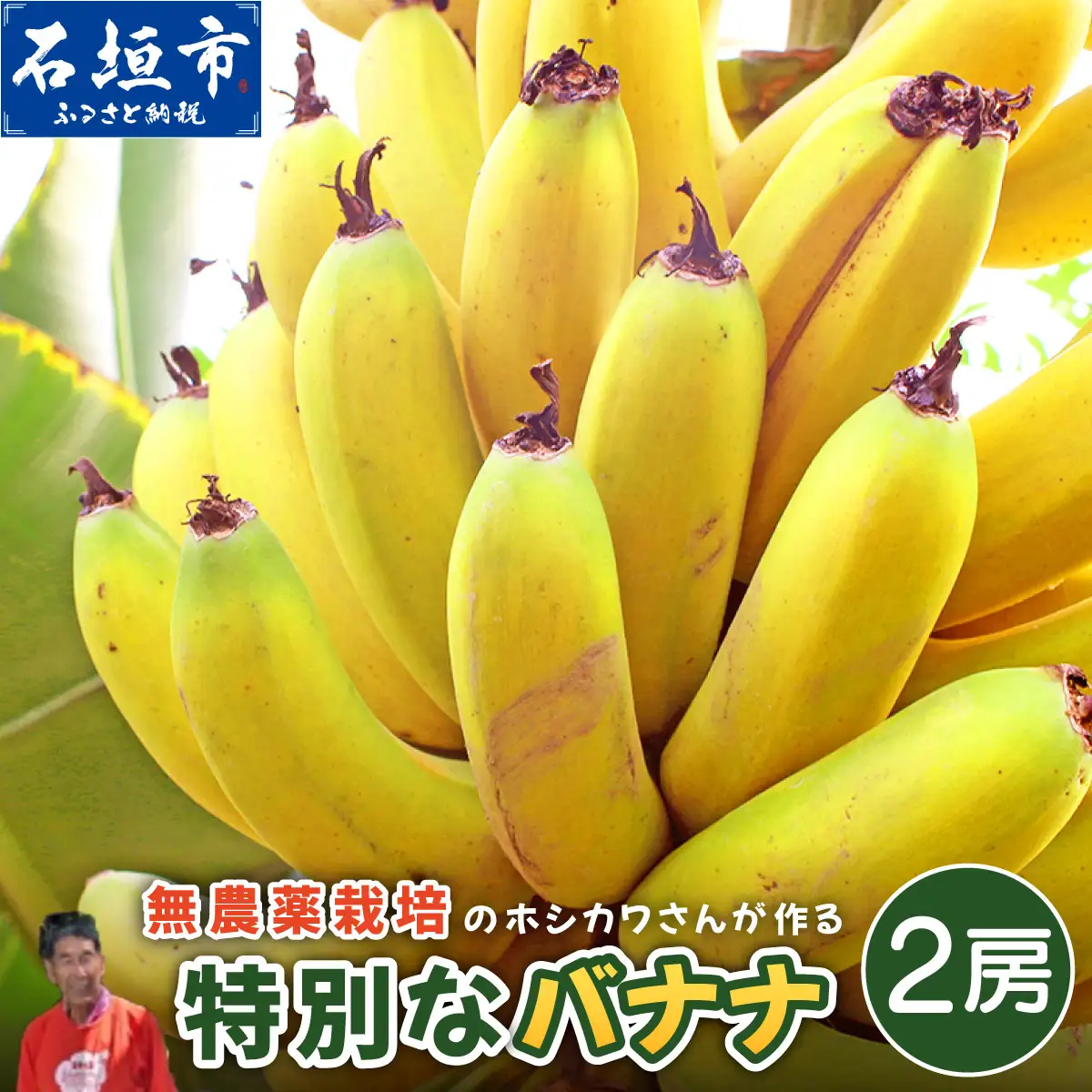 希少！無農薬栽培の千川さんが作る特別なバナナ2房