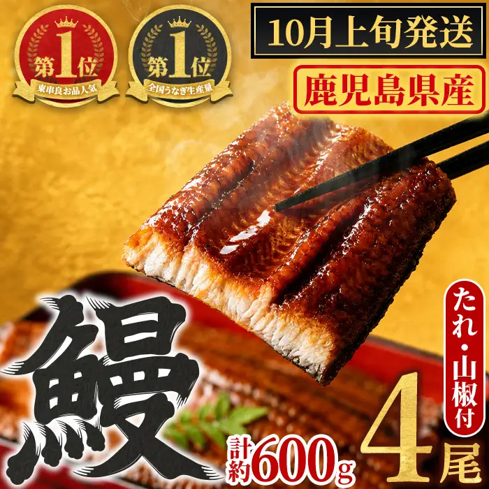 【0204348a-2610】＜10月上旬発送予定＞東串良町のうなぎ蒲焼(無頭)(4尾・計約600g・タレ、山椒付) うなぎ 高級 ウナギ 鰻 国産 蒲焼 蒲焼き たれ 鹿児島 ふるさと 人気 【アクアおおすみ】