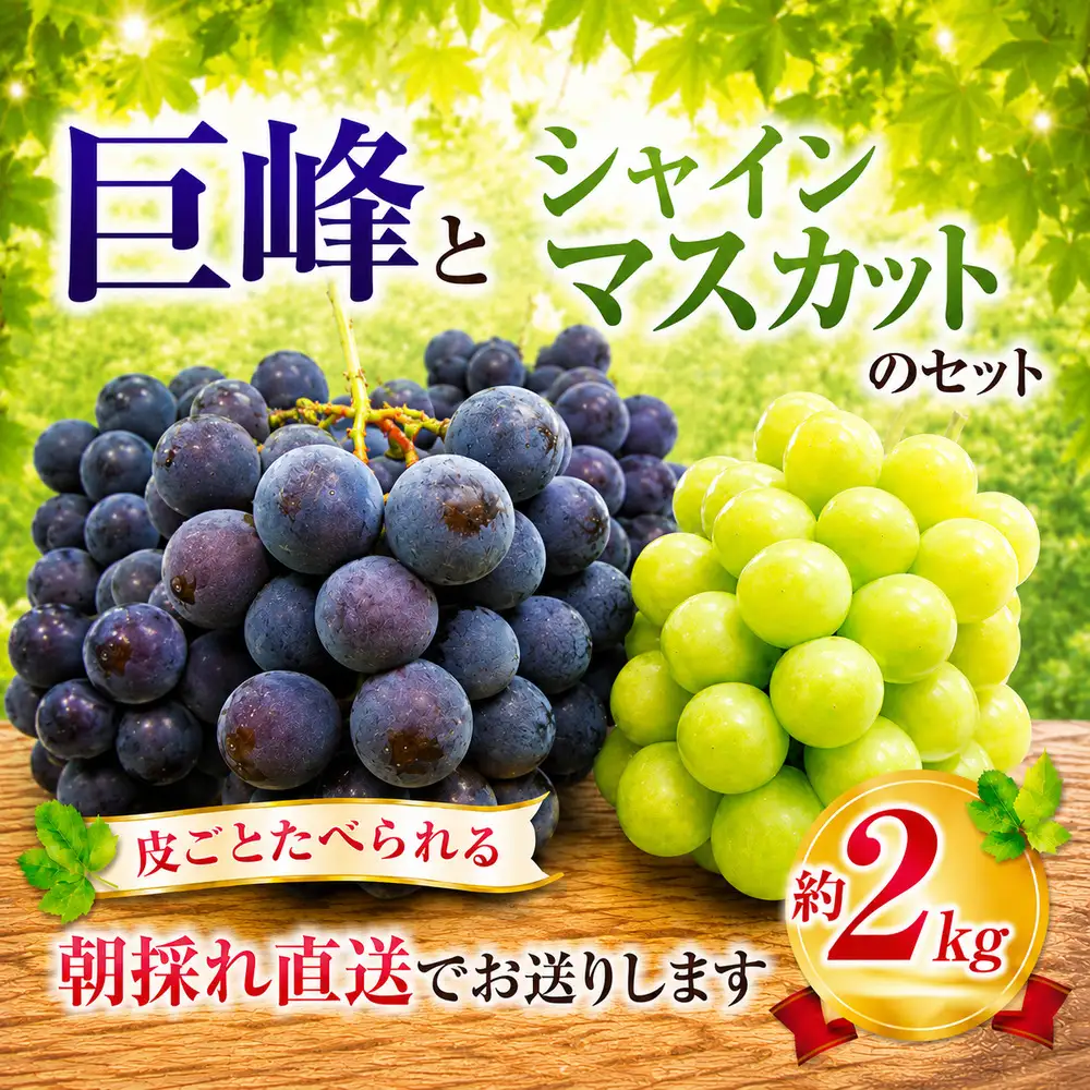 巨峰 3房～4房 と シャインマスカット 1房 セット 約2kg