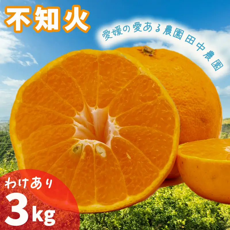 【2027年2月下旬頃から順次発送】みかん 訳あり 不知火 しらぬい 約3kg 愛媛県産【TNN014】