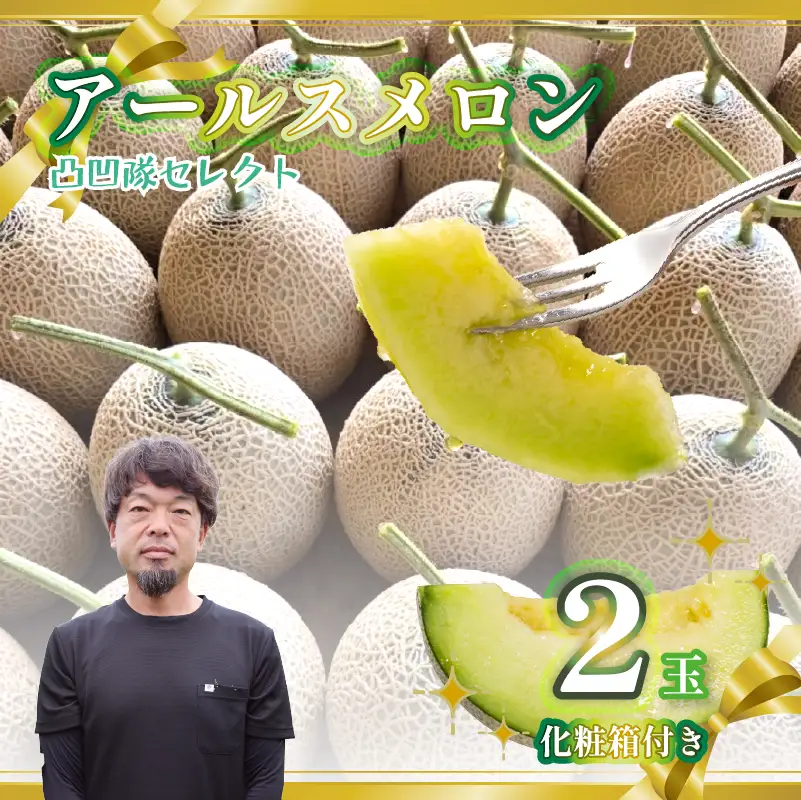 【期間限定 2玉】メロン 2玉 アールスメロン  静岡県 牧之原 一般社団法人　0548プロジェクト