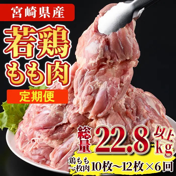【定期便・全6回】宮崎県産若鶏もも肉(総量22.8kg以上・鶏もも一枚肉250～350g×10～12枚×6回) お肉 国産 冷凍【NK-23】【南九フーズ】