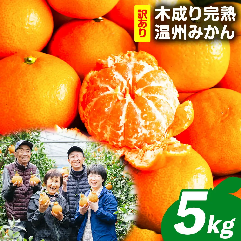 訳あり 木成り完熟温州 みかん 約 5kg ミックスサイズ 和歌山県産