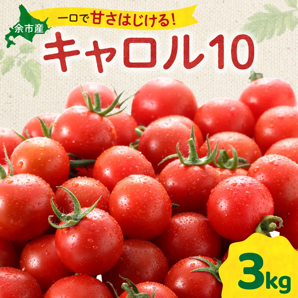 【先行予約：2026年9月上旬以降発送】余市町産丸型ミニトマト「キャロル10」 3Kg 高糖度 北海道余市町 自根栽培 濃厚_Y165-0002