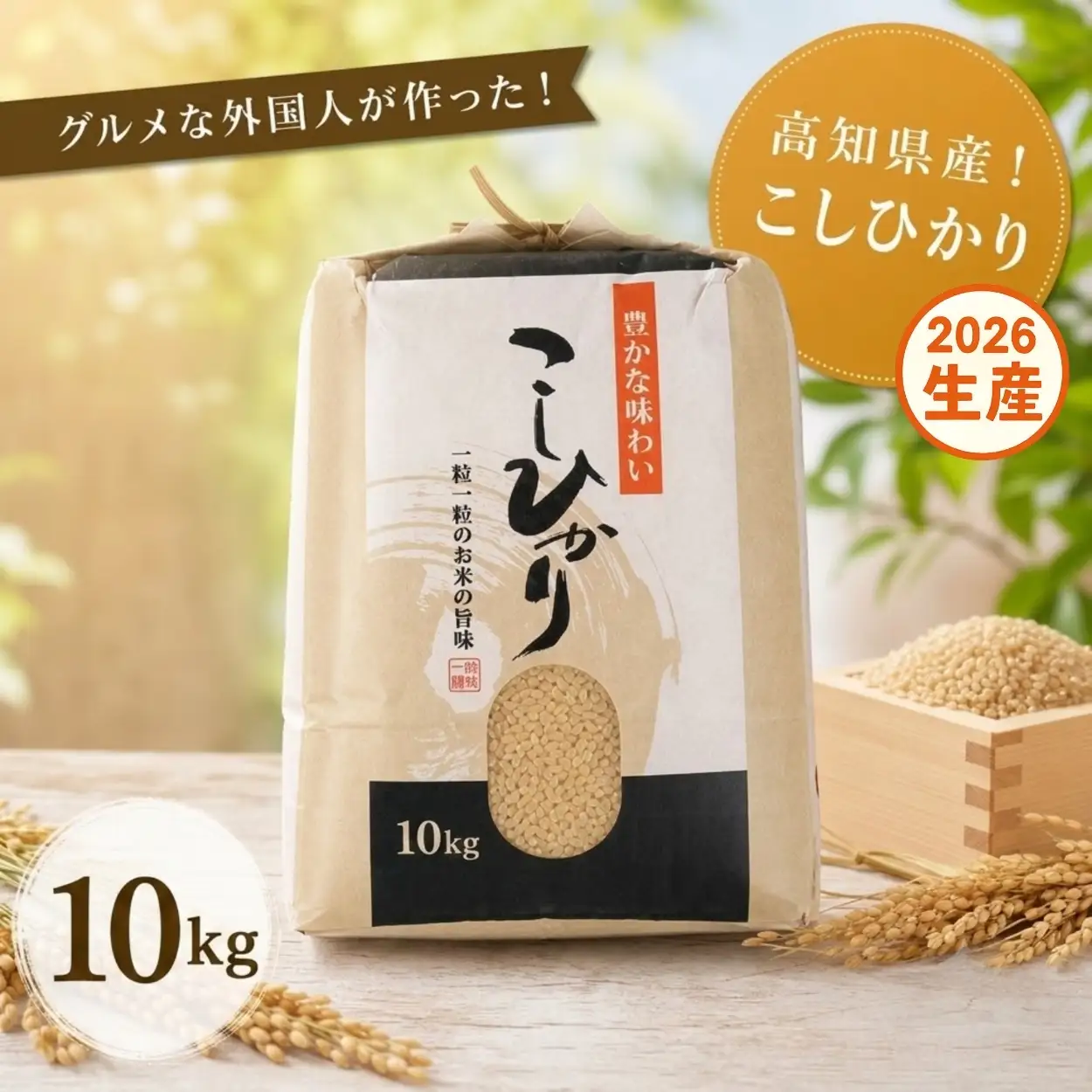こしひかり 玄米 新米 10kg  2026年産［0940-4］