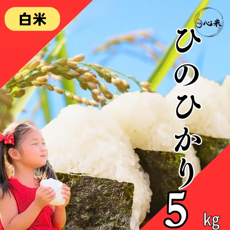 【令和7年産 白米】ヒノヒカリ 5kg 白米 精米 米