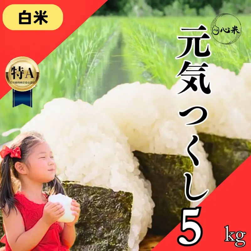 令和7年度産 元気つくし 5kg