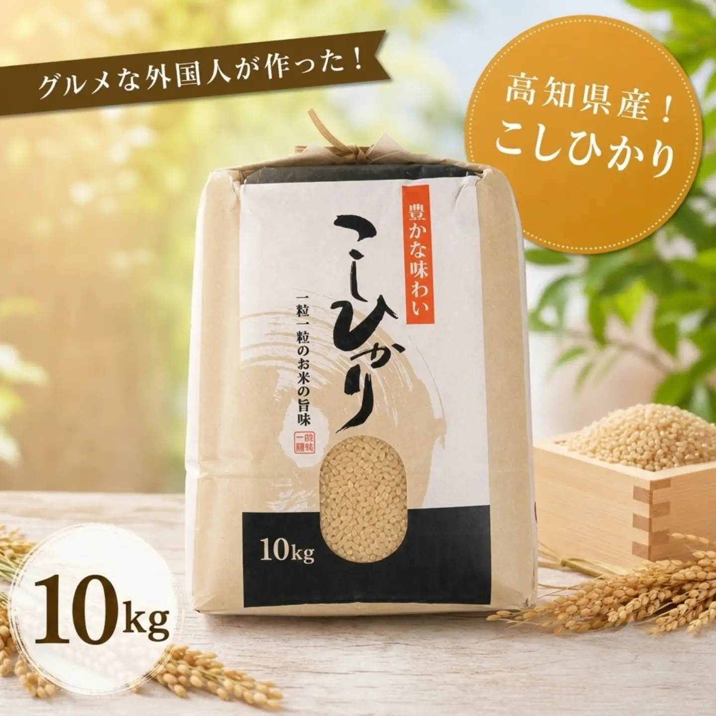 こしひかり 玄米 10kg 2025年産［0940-6］