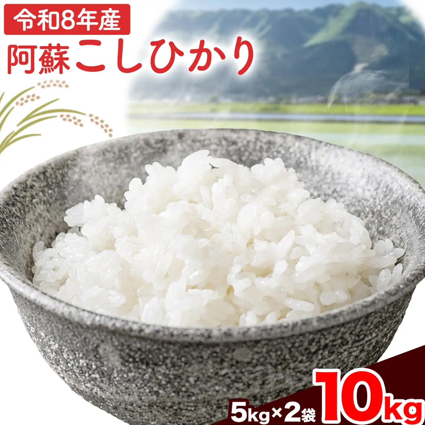 【先行予約】米 令和8年産 阿蘇こしひかり 10kg (5kg×2袋) ますだふぁーむ《9月末-10月末頃出荷》熊本県 南阿蘇村 米 お米 白米 精米 国産米 こしひかり コシヒカリ 産地直送