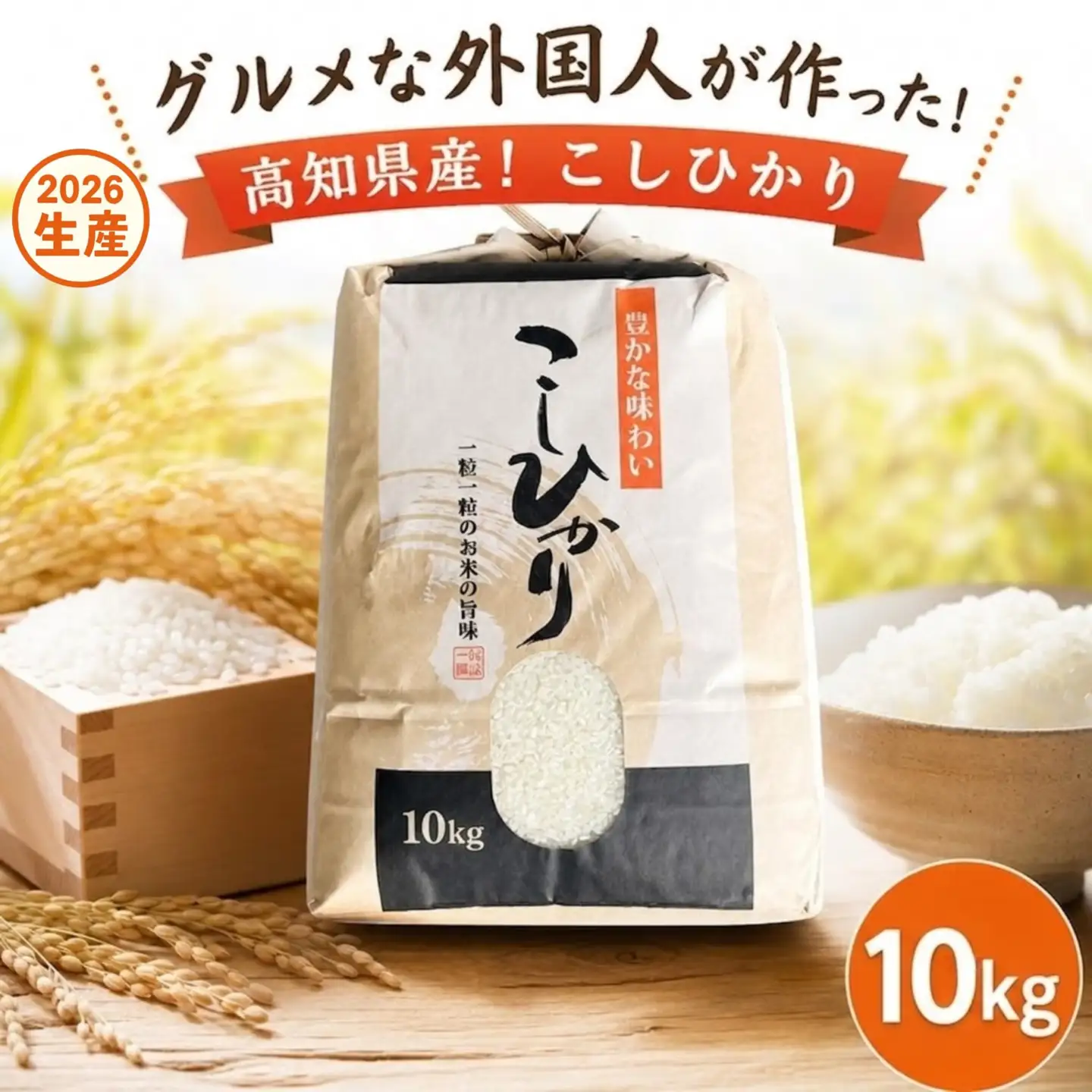 こしひかり 白米 新米 10kg  2026年産［0941-4］
