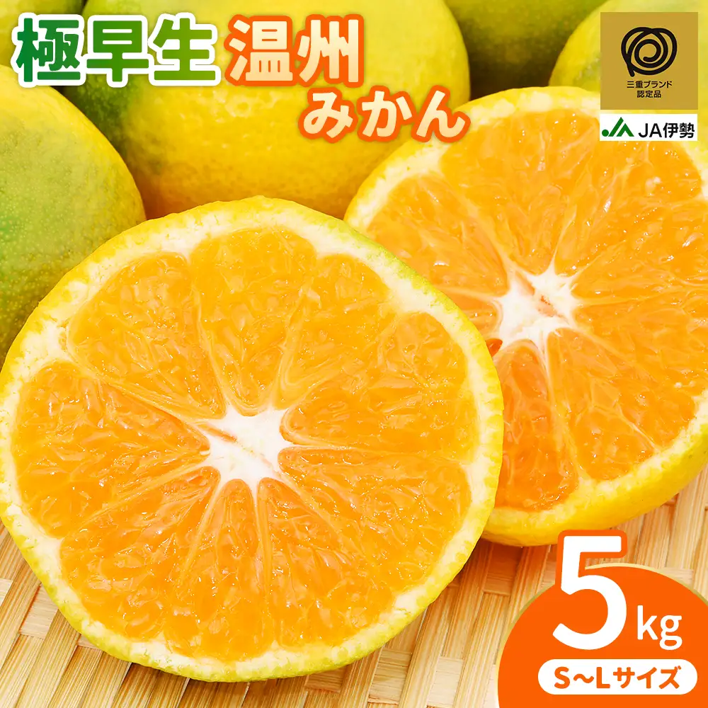 【三重ブランド認定品】 みかん JA 極早生温州みかん 5kg みかん【isen0002】