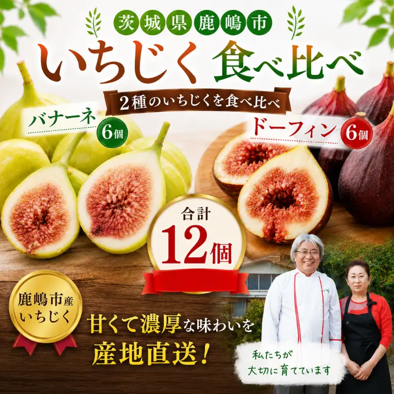 いちじく 食べ比べ ドーフィン バナーネ 12個 約850g～1kg 7～10月発送 いちじく 鹿嶋市