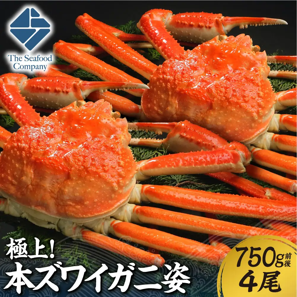 極上！本ズワイ蟹の姿　750g　4尾 | かに ズワイガニ 北海道 札幌市