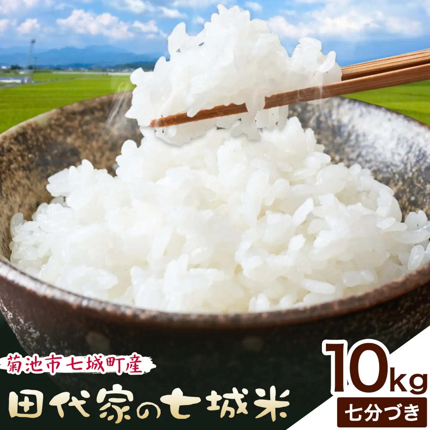 令和7年産 菊池市七城町産 田代家の七城米 七城ヒノヒカリ 七分づき 10kg 田代こめや《30日以内に出荷予定(土日祝除く)》熊本県 菊池市 米 お米 精米 ひのひかり 菊池市産 熊本県産 九州産 送料無料