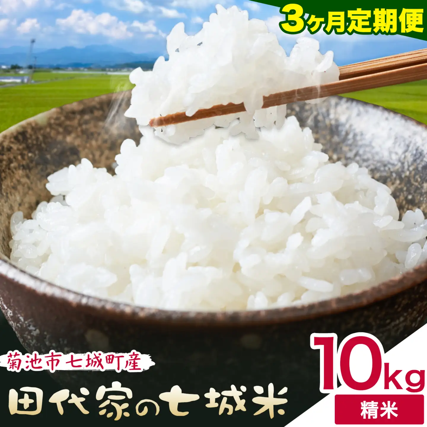 【3ヶ月定期便】令和7年産 菊池市七城町産 田代家の七城米 七城ヒノヒカリ 白米 10kg 田代こめや《お申し込み月の翌月から出荷開始》熊本県 菊池市 米 お米 精米 ひのひかり 菊池市産 熊本県産 九州産 送料無料