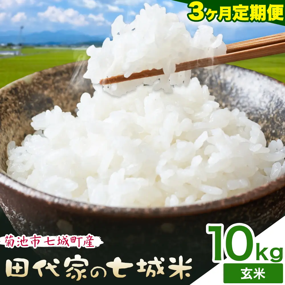 【3ヶ月定期便】令和7年産 菊池市七城町産 田代家の七城米 七城ヒノヒカリ 玄米 10kg 田代こめや《お申し込み月の翌月から出荷開始》熊本県 菊池市 米 お米 精米 ひのひかり 菊池市産 熊本県産 九州産 送料無料