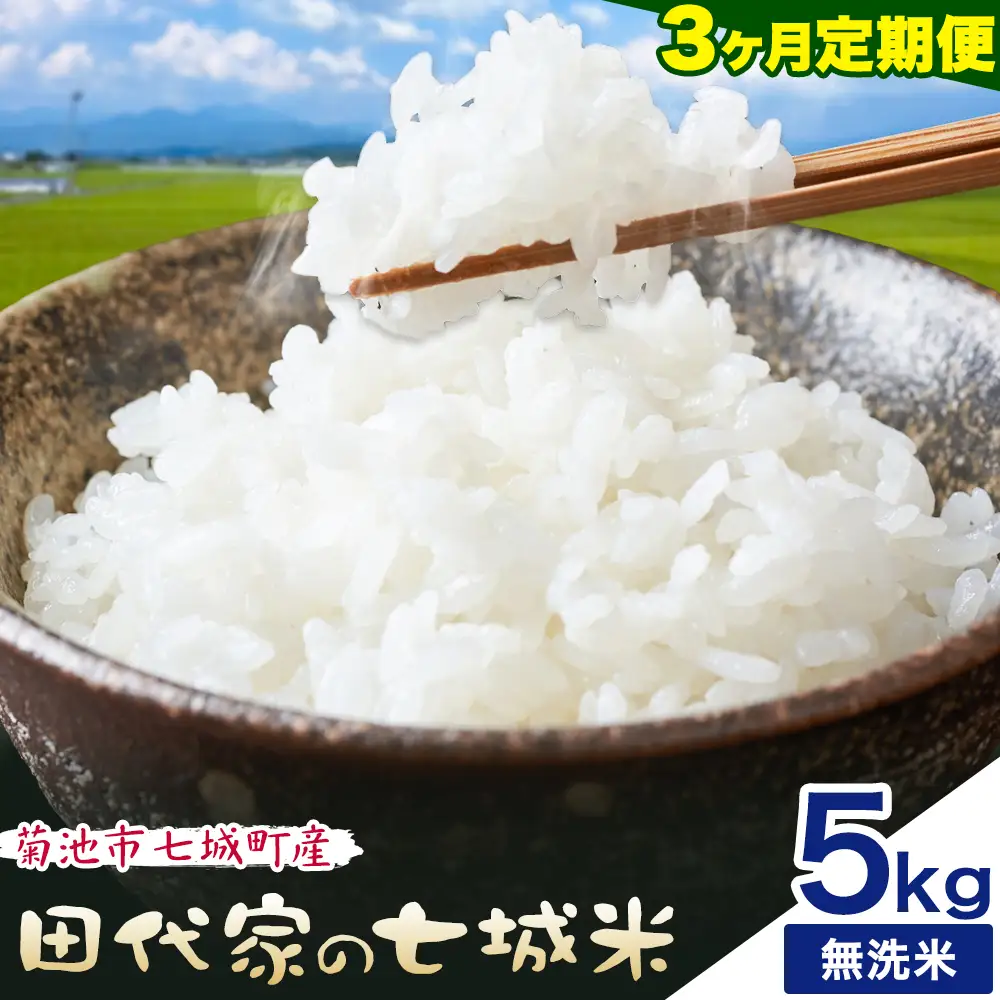 【3ヶ月定期便】令和7年産 菊池市七城町産 田代家の七城米 七城ヒノヒカリ 無洗米 5kg 田代こめや《お申し込み月の翌月から出荷開始》熊本県 菊池市 米 お米 精米 ひのひかり 菊池市産 熊本県産 九州産 送料無料
