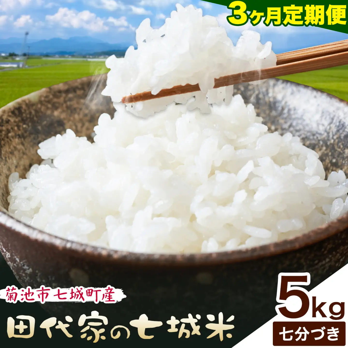 【3ヶ月定期便】令和7年産 菊池市七城町産 田代家の七城米 七城ヒノヒカリ 七分づき 5kg 田代こめや《お申し込み月の翌月から出荷開始》熊本県 菊池市 米 お米 精米 ひのひかり 菊池市産 熊本県産 九州産 送料無料