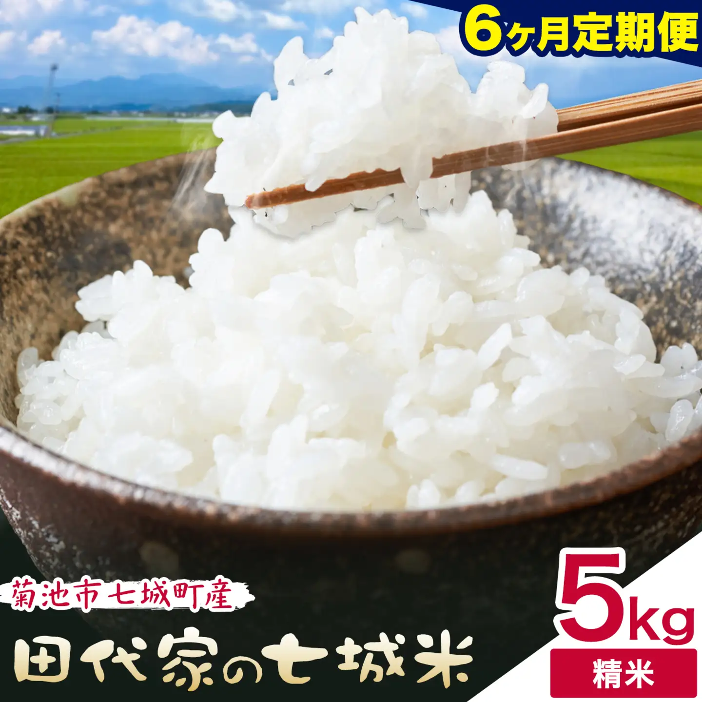 【6ヶ月定期便 】令和7年産 菊池市七城町産 田代家の七城米 七城ヒノヒカリ 白米 5kg 田代こめや《お申し込み月の翌月から出荷開始》熊本県 菊池市 米 お米 精米 ひのひかり 菊池市産 熊本県産 九州産 送料無料