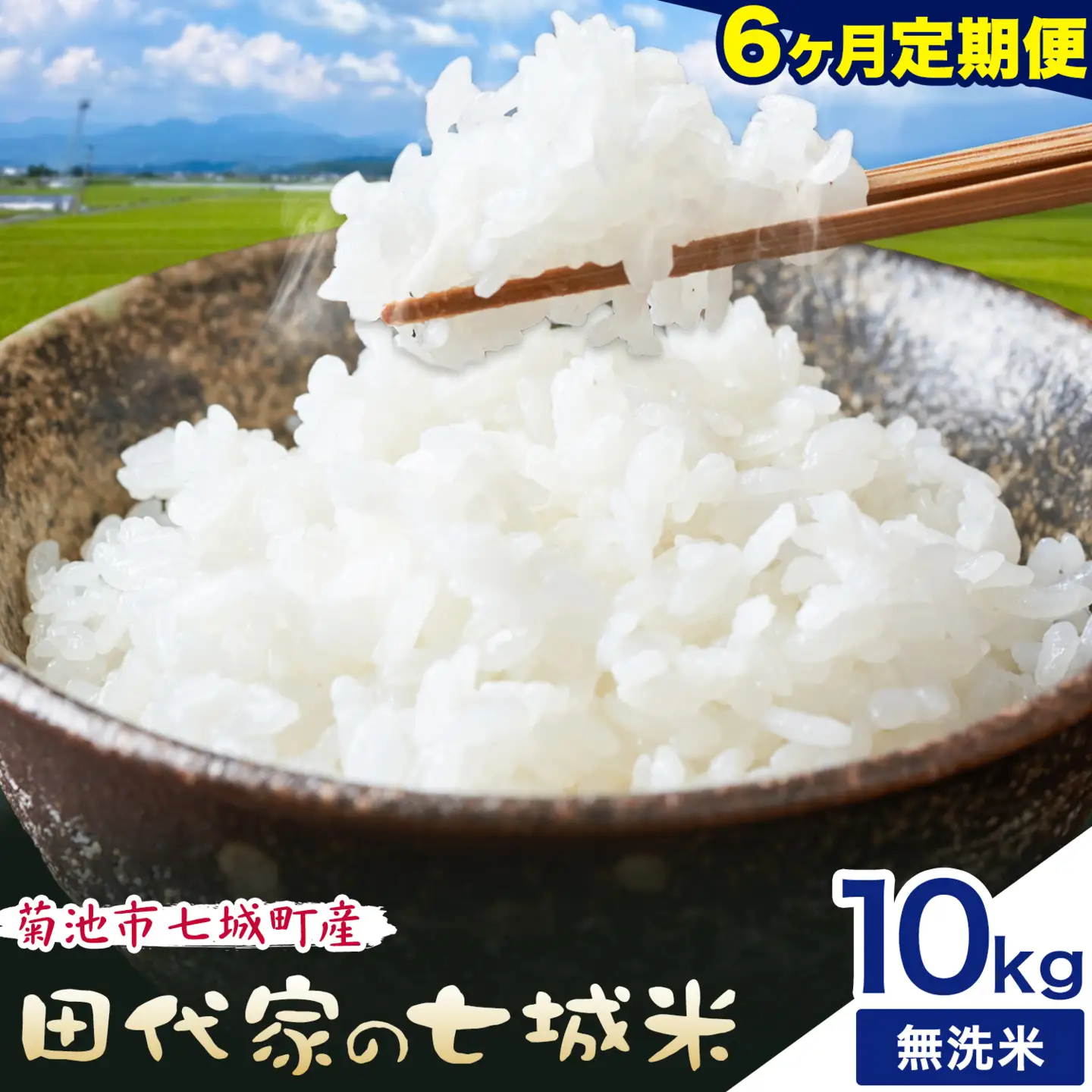 【6ヶ月定期便 】令和7年産 菊池市七城町産 田代家の七城米 七城ヒノヒカリ 無洗米 10kg 田代こめや《お申し込み月の翌月から出荷開始》熊本県 菊池市 米 お米 精米 ひのひかり 菊池市産 熊本県産 九州産 送料無料