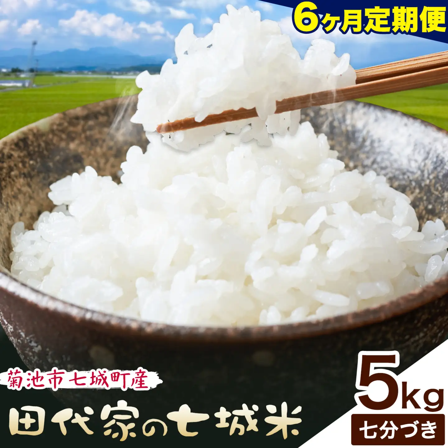 【6ヶ月定期便】令和7年産 菊池市七城町産 田代家の七城米 七城ヒノヒカリ 七分づき 5kg 田代こめや《お申し込み月の翌月から出荷開始》熊本県 菊池市 米 お米 精米 ひのひかり 菊池市産 熊本県産 九州産 送料無料
