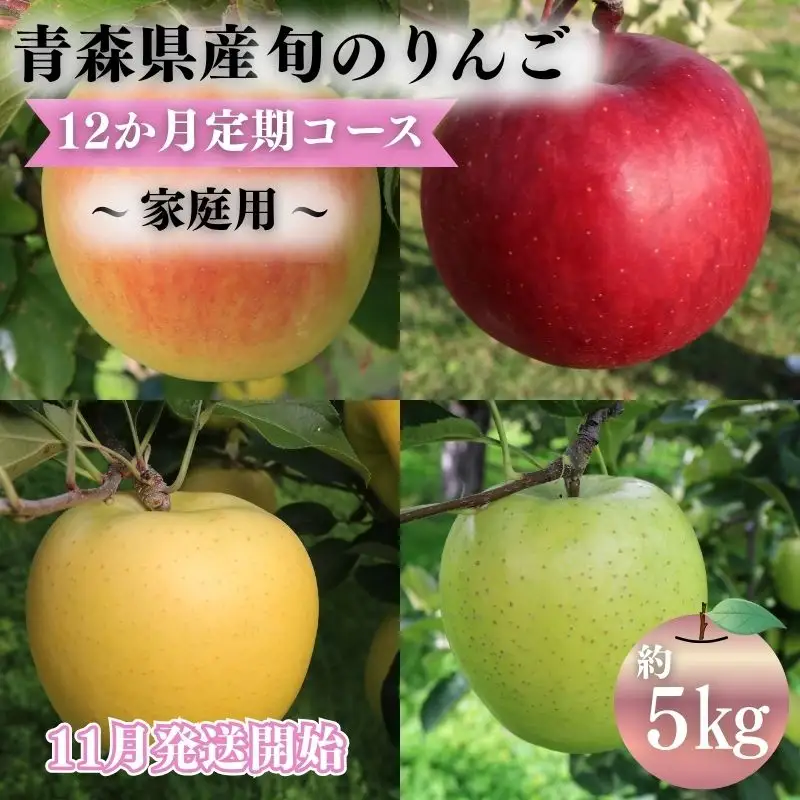 りんご 【2026年11月発送開始】12ヶ月定期便 約5kg 家庭用 りんご