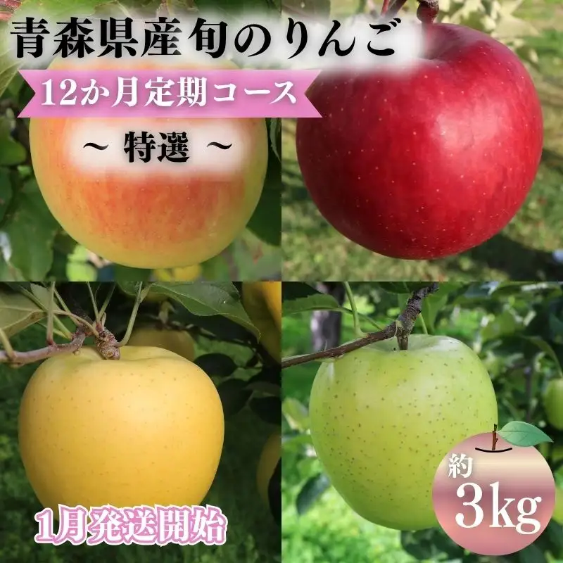 りんご 【2027年1月発送開始】 12ヶ月定期便 約3kg 特選 りんご | 青森