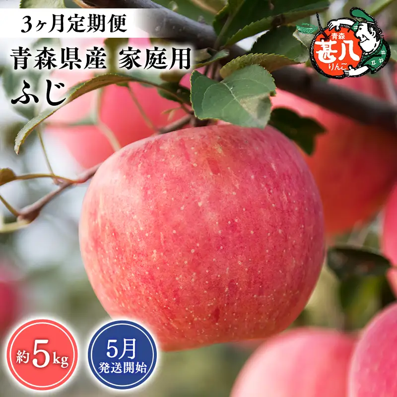 りんご 【2027年5月発送開始】青森県産 ふじ 家庭用 約5kg 3ヶ月定期便 りんご