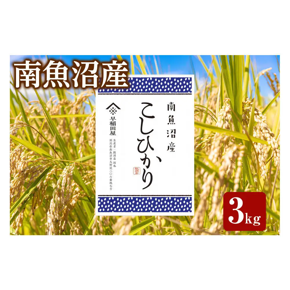 【ふるさと納税】【令和8年産新米予約】南魚沼産コシヒカリ 3kg　塩沢産コシヒカリ【銘柄米 精米 こしひかり コシヒカリ 魚沼産 新潟米 お米 米 こめ】【2026年10月中旬より1ヵ月以内に順次発送予定】