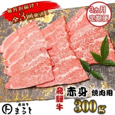 【毎月定期便】飛騨牛　赤身焼肉　300g全3回【配送不可地域：離島】【4088610】