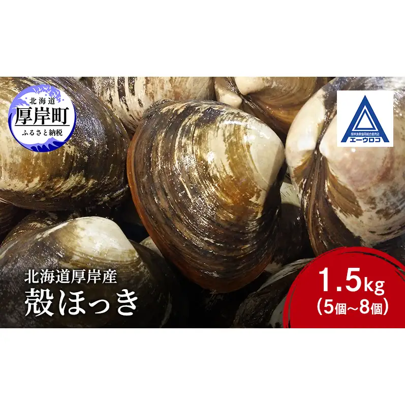 新鮮 北海道 厚岸産 殻ほっき 1.5kg (5個～8個) [ ホッキ 北寄 貝 産地直送 魚介類 バーべキュー ]