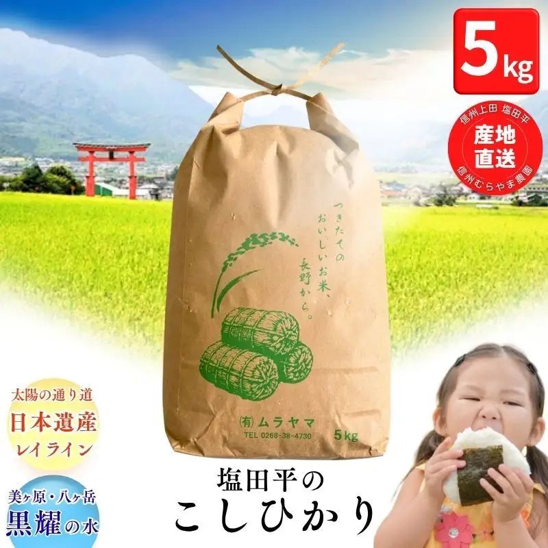 こしひかり 5kg 米 塩田平 こしひかり 