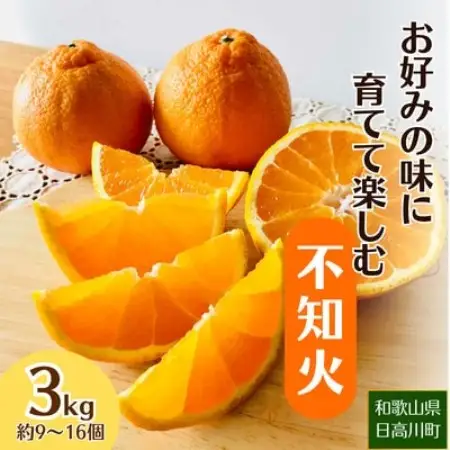【2027年2月～4月順次発送】お好みの味に育てて楽しむ不知火　3kg　産地直送　和歌山県産【1750294】