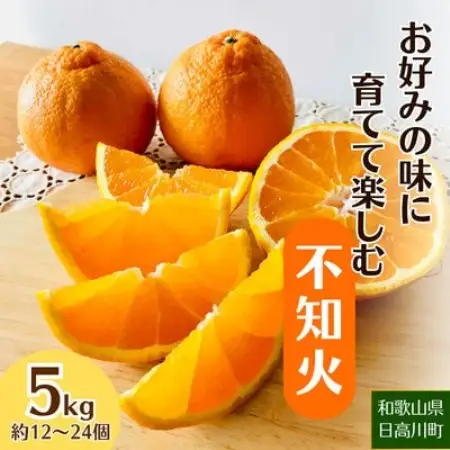 【2027年2月～4月順次発送】お好みの味に育てて楽しむ不知火 5kg 産地直送 和歌山県産【1750301】