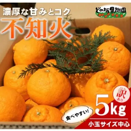 【訳あり】熟成不知火(しらぬい)　5kg(小玉サイズ中心)/2027年3月～発送(デコポンと同品種)【配送不可地域：離島・北海道・沖縄県】【1753109】