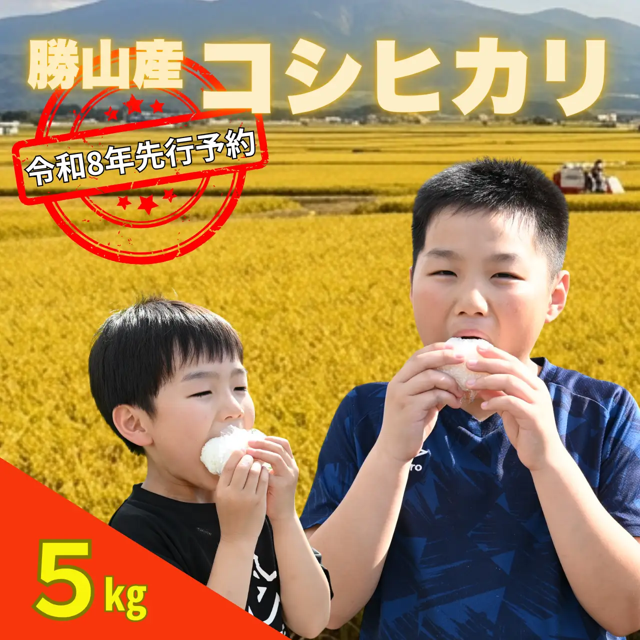 米 コシヒカリ 精米 5kg 令和8年産 先行予約 [A-103001]