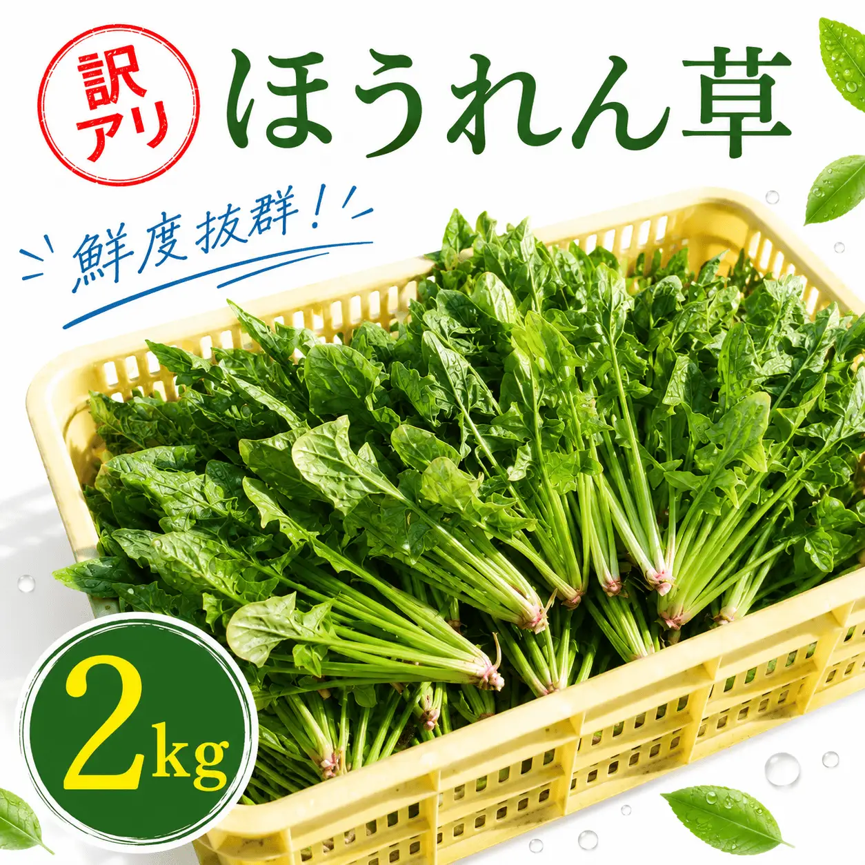 【先行予約】ほうれん草 200g×10袋 ほうれん草 ほうれんそう