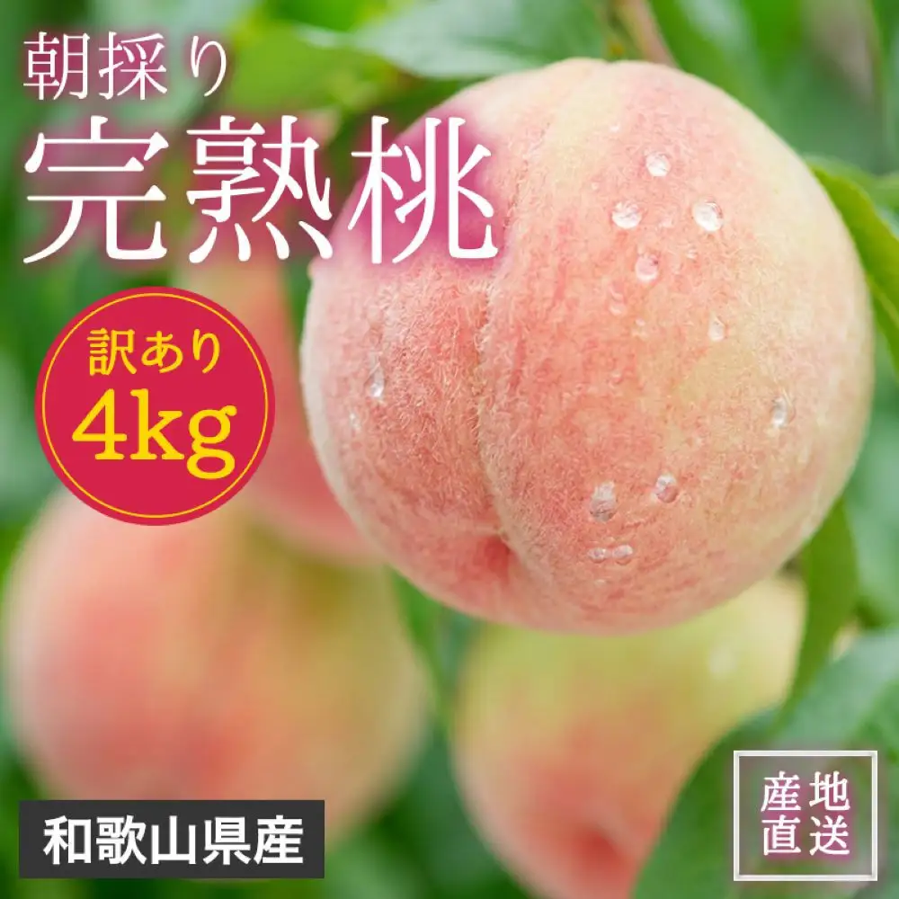 訳あり 森本農園の手選別 桃 4kg