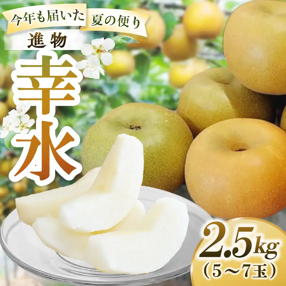 幸水【進物】2.5kg（岸田秀果園） 鳥取 梨 なし ナシ 果物 フルーツ 和梨 幸水梨 こうすいなし 人気 産地直送
