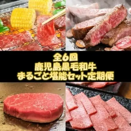 【発送月固定定期便】鹿児島黒毛和牛まるごと堪能セット定期便全6回【配送不可地域：離島】【4088702】