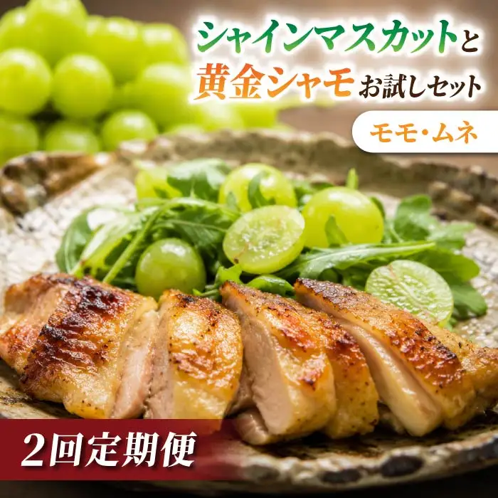 【2回定期便】とうみの名産定期便（シャインマスカット2房／信州黄金シャモ ムネ・モモセット700g）｜【JA信州うえだ／とや原ファーム】ぶどう 葡萄 大粒 果物 フルーツ シャモ 鶏肉 頒布会 長野