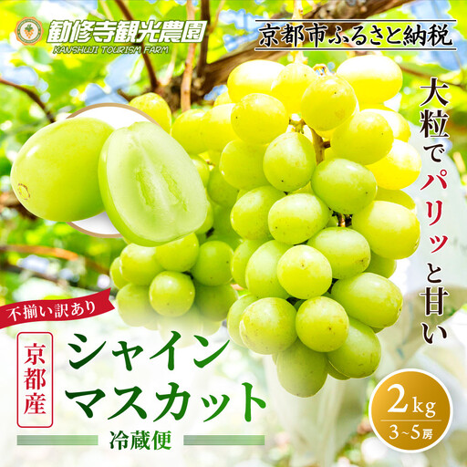 《先行予約 2026年8月下旬～9月発送》【勧修寺観光農園】不揃い訳あり 京都市産 シャインマスカット 2kg｜シャインマスカット 人気