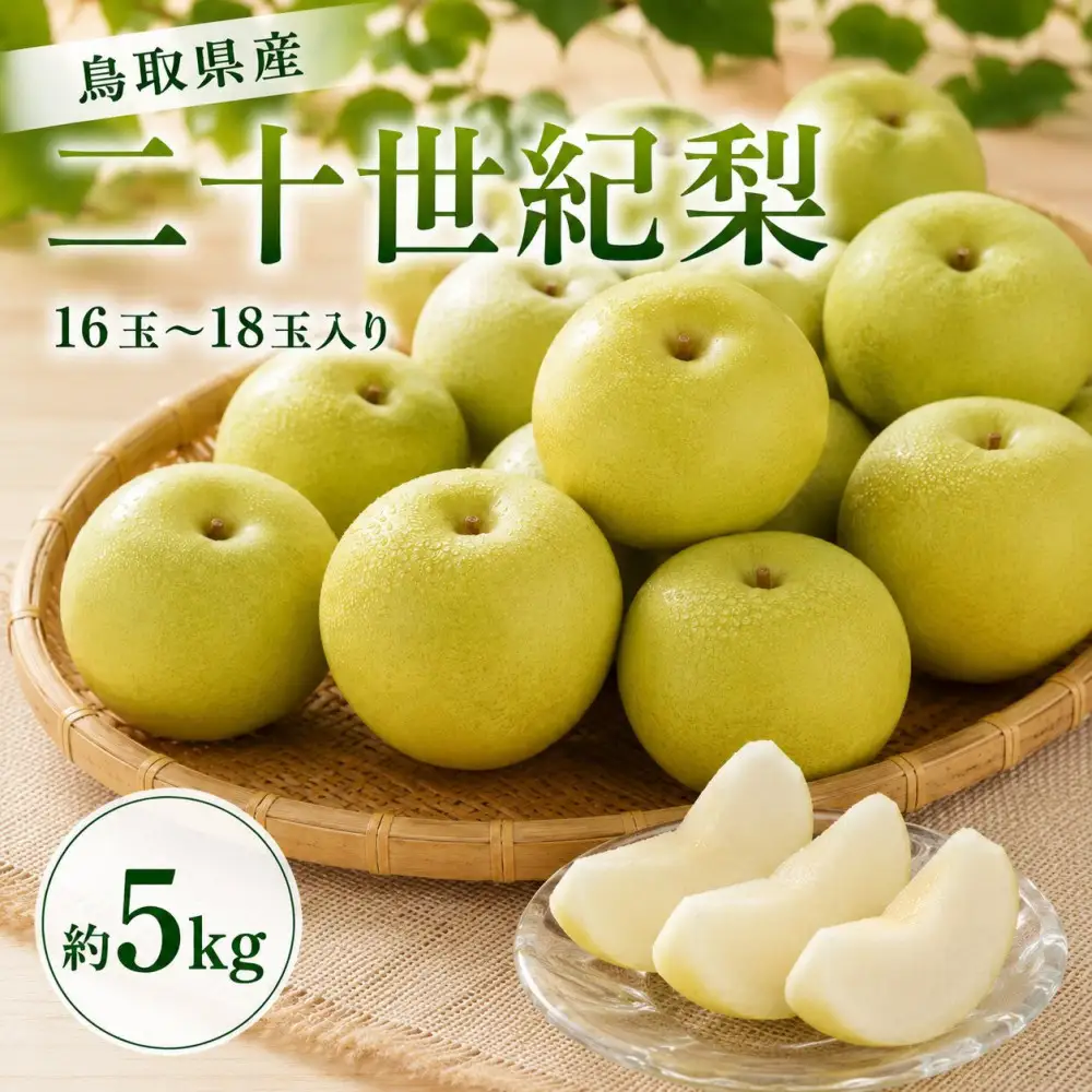 鳥取県産 二十世紀梨 約5キロ【鳥取県 境港市】
