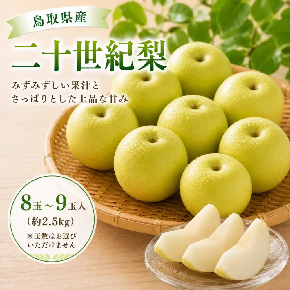 鳥取県産 二十世紀梨 約2.5キロ【鳥取県 境港市】
