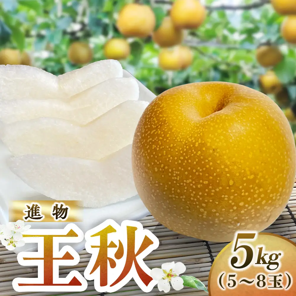 王秋【進物】5kg（岸田秀果園） 鳥取 梨 なし ナシ 果物 フルーツ 和梨 王秋 おうしゅうなし 人気 進物 贈答用