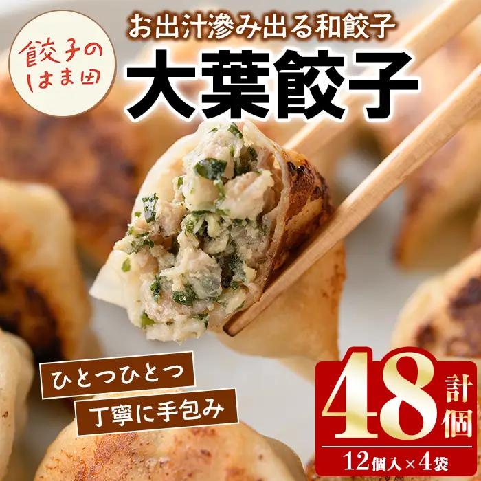 大葉餃子(12個入×4袋・計48個) 餃子 生餃子 ギョウザ ぎょうざ ギョーザ セット 詰め合わせ おかず お惣菜 冷凍 和風 水餃子 大葉 手作り 【餃子のはま田】akn096-02