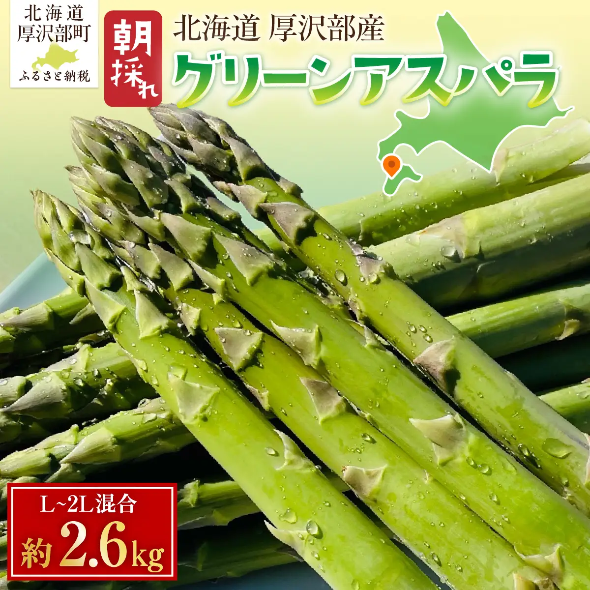 北海道厚沢部町産 グリーンアスパラ L～2L混合 約2.6kg ASG080